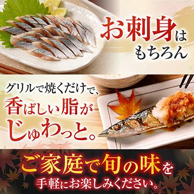 ふるさと納税 根室市 ＜12/21まで年内配送＞★冷凍さんま30尾 B-30005 |  | 01