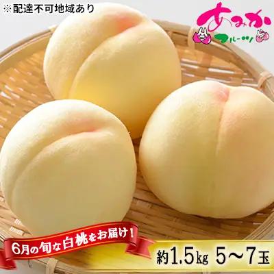 桃 先行予約 6月の旬な 白桃 約1.5kg 5～7玉 もも モモ 岡山県 赤磐市産 桃