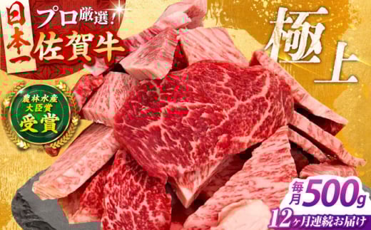 【全12回定期便】佐賀牛 焼肉 切り落とし 500g 【田中畜産牛肉店】 佐賀牛 牛肉 精肉 肉 切り落とし [HBH156]