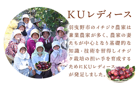 羽曳野市フルーツジャム詰合せ いちじくジャム 皮入りいちじくジャム みかんジャム ドライいちじく 羽曳野市イチジク部会K.U.レディース《30日以内に出荷予定(土日祝除く)》大阪府 羽曳野市 ジャム 