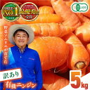 【ふるさと納税】【訳あり】有機 ニンジン 規格外品 約5kg 野菜 にんじん 人参 ジュース サラダ 有機JAS認定 オーガニック野菜 熊本県産 山都町産 産地直送 熊本直送 訳アリ わけあり 【グリーンファーム矢部】[YDC004]