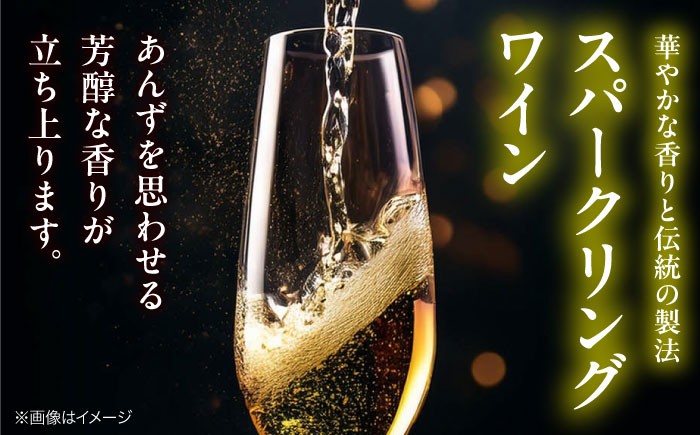 受賞歴多数 ワイン 白ワイン スパークリングワイン 辛口 発泡性 三次ワイナリー 国産ワイン 日本ワイン 広島