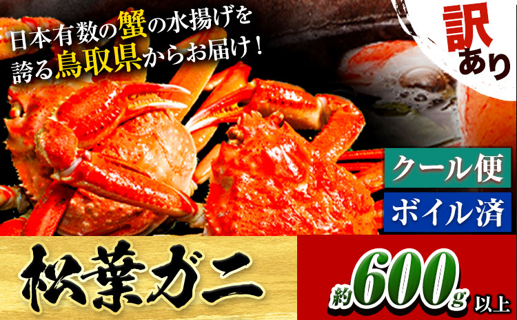 訳あり カニ 松葉ガニ 足1本なし 600g 1杯分《11月中旬-3月中旬頃出荷》鳥取県 八頭町 送料無料 蟹 かに 姿 鍋 ズワイガニ 松葉ガニ ズワイ蟹 ボイル 冷蔵便 松葉蟹 海鮮 魚介 【配送不可地域あり】