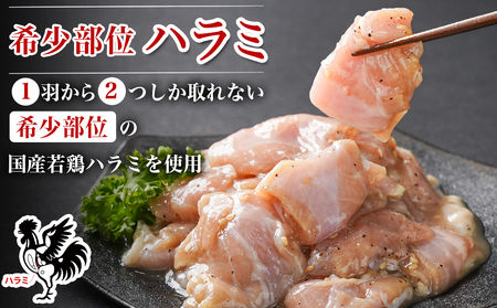 【希少部位】国産若鶏ハラミ「塩だれ味付」880g!小分け真空パック≪みやこんじょ特急便≫_LG-L603-Q_(都城市)  若鶏 ハラミ 味付け 塩だれ 小分けパック 焼くだけ 簡単 調理 真空