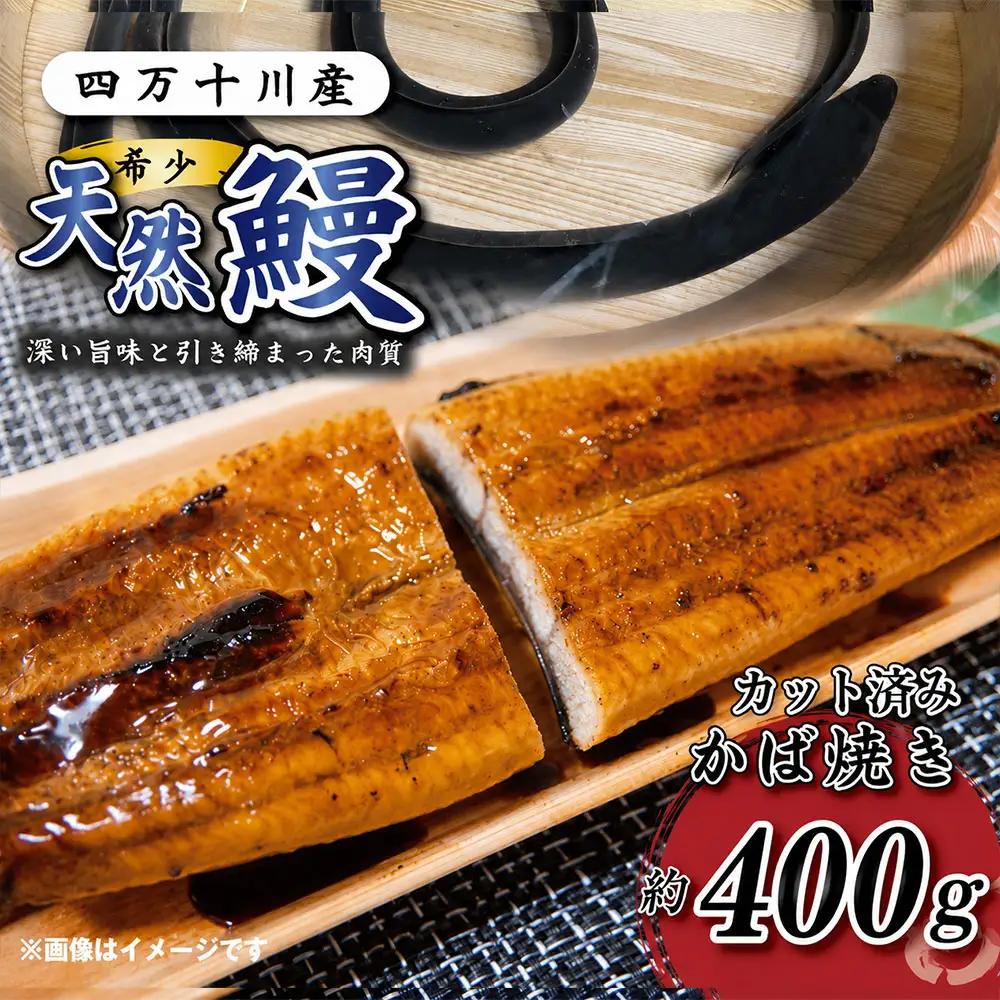 希少 四万十川産＜天然うなぎ＞蒲焼（カット)（計400g） 天然うなぎ 天然 四万十川 鰻 ウナギ うなぎ グルメ 高級 贅沢 ギフト 食べ物 食品 国産鰻 蒲焼 うなぎ蒲焼 ウナギ蒲焼 鰻蒲焼 冷凍 国産 高知 四万十 四万十市 R7-98