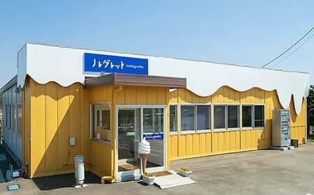 季節のジェラート定期便 12個入り×1ヶ月おき5回【アイス工房Nollegretto】 ／ アイス スイーツ 定期 デザート ノレグレット
