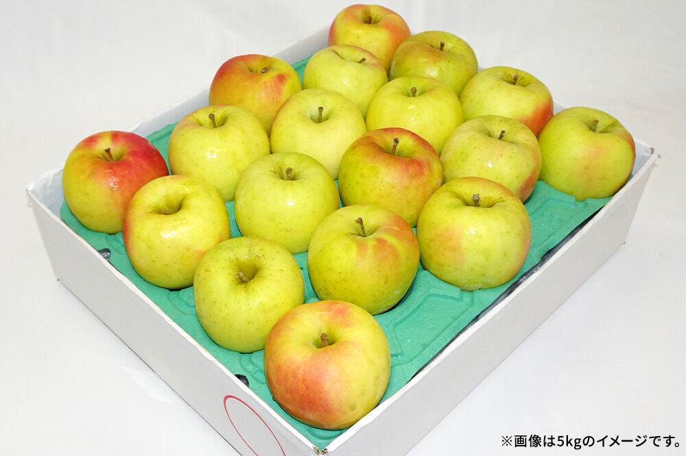 【26年11月発送】りんご 名月【訳あり】約5kg キタエアップル 青森県 弘前市 [先行予約 名月 りんご 訳あり 家庭用 アップル おいしい 果実 果物 黄色 美味 林檎]