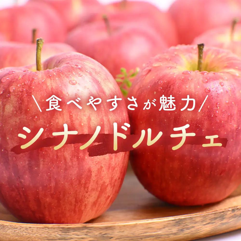 青森県産りんご シナノドルチェ 約5kg 10月上旬～ りんご