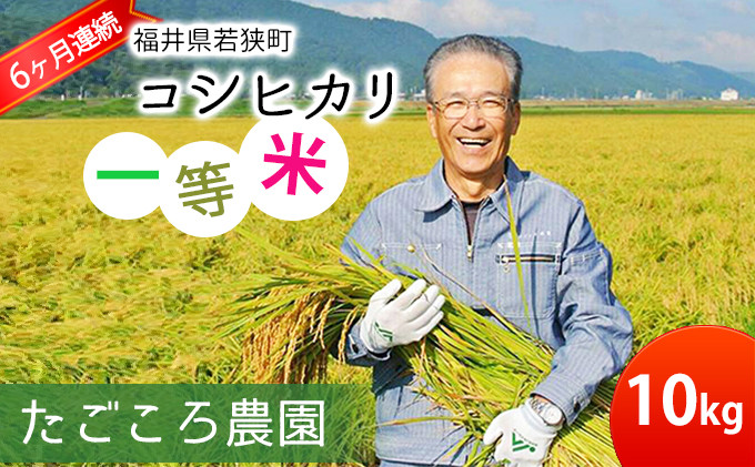 
            【6ケ月連続お届け】令和6年度産 新米 先行予約 コシヒカリ 10kg 一等米 米 お米 おこめ こめ コメ 白米 精米 ご飯 ごはん たごころ農園 福井県 福井 [№5580-0538]
          