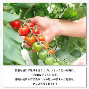 甘い ミニトマト 2kg 国産 送料無料 【ミニトマト】