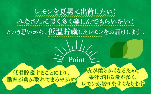 青いレモンの島　貯蔵蔵出しレモン約1kg【お試しセット】(冷蔵便発送)【配送不可地域：離島】