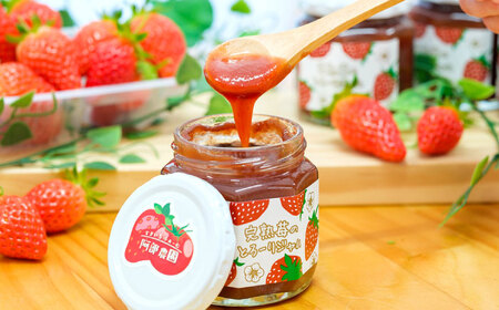 完熟苺のとろーりジャム / ジャム いちごジャム いちご 苺 あきひめ / 恵那市 / 阿部農園[AUGA007]