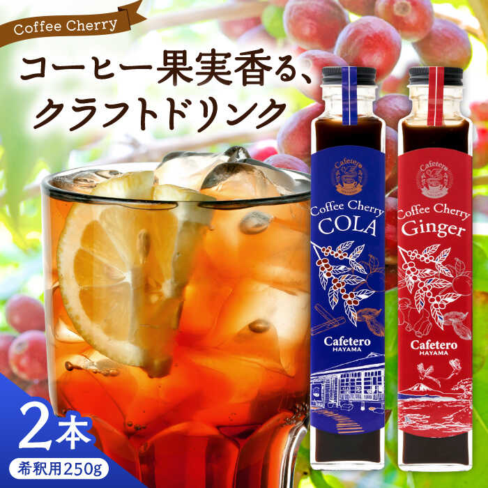 【ふるさと納税】【先行予約】【2025年7月中旬から順次発送】カフェテーロ葉山　コーヒーチェリーコーラ 1本 コーヒーチェリージンジャー 1本 計2本 / ジュース 飲料 ジンジャー コーヒー コーラ 飲み比べ チェリー 250ml 葉山町【合同会社エンディレクト】[ASBM006]