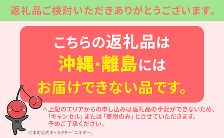 【先行受付/2024年7月出荷開始】仁木町産 さくらんぼ 「佐藤錦」 バラ詰め 500g ［妹尾観光農園］ 北海道 果物 フルーツ チェリー サクランボ