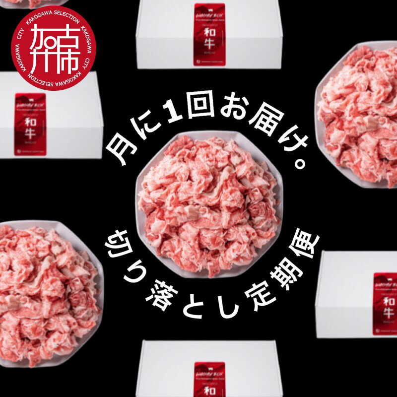 【ふるさと納税】全12回定期便 肉のまち加古川 プリンセス和牛 切り落とし(500g×12か月)《 定期便 肉 和牛 切り落とし 牛肉 肉じゃが 牛丼 プルコギ カレー 日常使い おいしい おすすめ 贈答 プレゼント 》