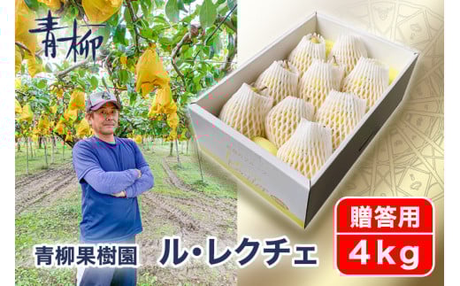 【2025年先行予約】新潟特産 幻の洋梨ル・レクチェ 贈答用 4kg（9〜11玉）〈11月下旬～順次出荷〉 ルレクチェ ル・レクチエ ルレクチエ 西洋梨 ギフト 新潟県産 特産 果物 フルーツギフト 冬の味覚 産地直送加茂市 青柳果樹園
