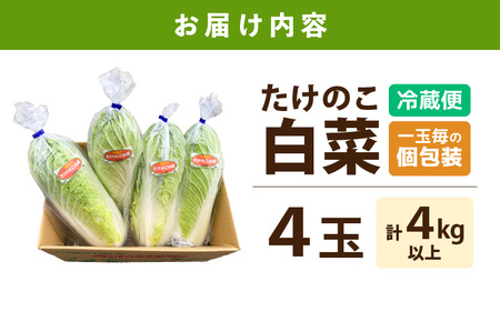 【先行予約】甘みのあるミニ白菜！「たけのこ白菜」4玉（1玉 約1kg）合計4kg以上 【2025年10月中旬より順次発送】【産地直送 野菜 冷蔵 ミニ白菜 生野菜 鍋もの野菜 サラダ野菜  スープ 炒