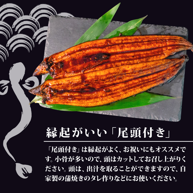 高知県産 養殖 うなぎ 蒲焼 100g～120g × 2尾 セット タレ付き 贈答 養殖 肉厚 鰻 土用丑の日 敬老の日 高知県 須崎市