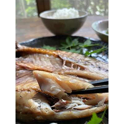ふるさと納税 湯浅町 【2025年5月上旬発送】かね七商店　特選干物セット　7種13枚 |  | 02