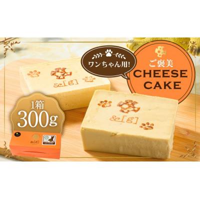 ふるさと納税 守谷市 ワンちゃん用!ご褒美 cheese cake