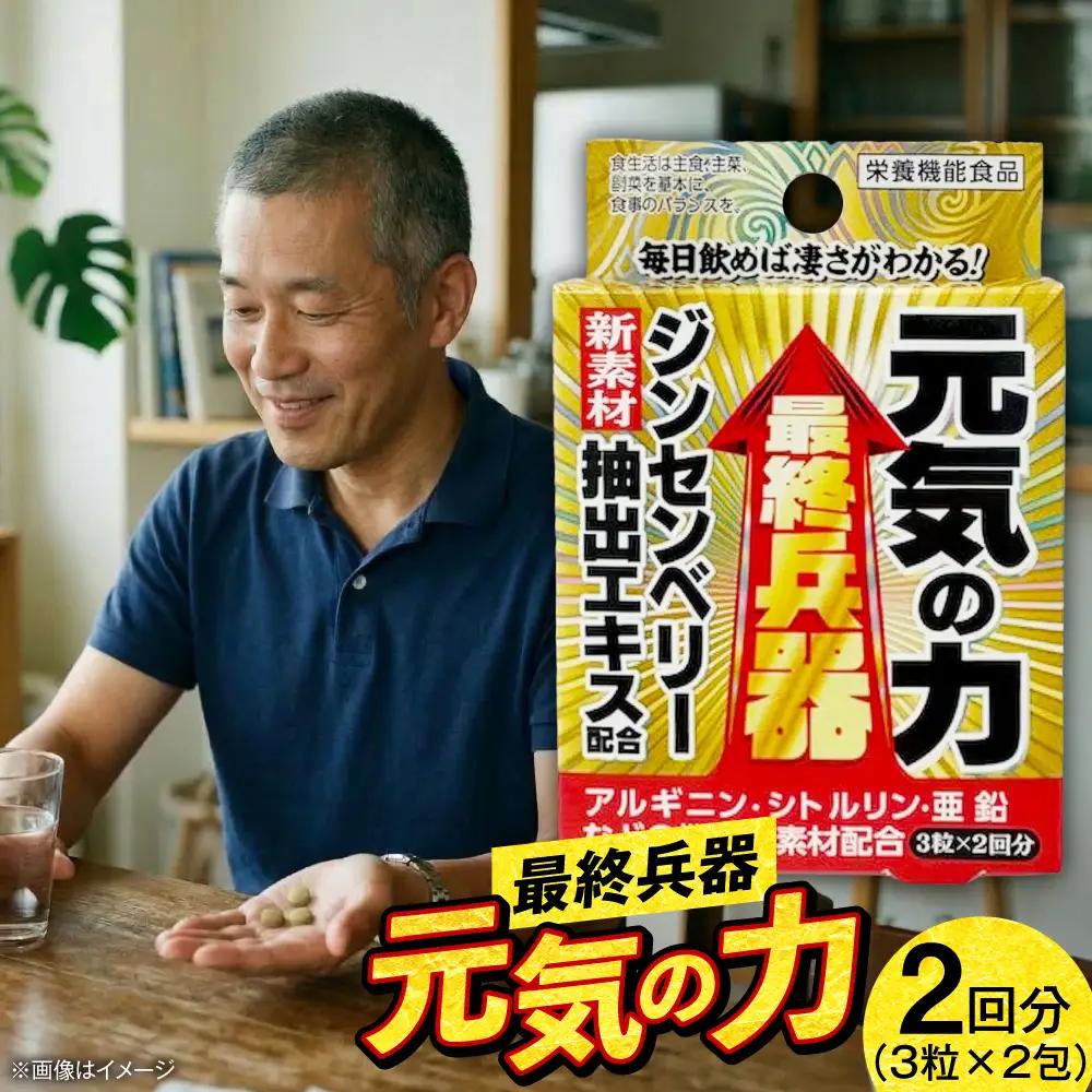 サプリ 最終兵器 元気の力 6粒 サプリ BLAX015