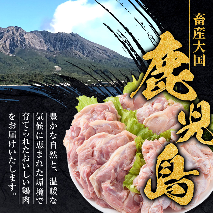 i1090-B 鹿児島県産 若鶏モモ肉(計8kg・2kg×4袋) 鶏肉 鳥肉 とり肉 もも肉 国産 鹿児島県産 2kg 8kg 安心安全 冷凍 【まつぼっくり】