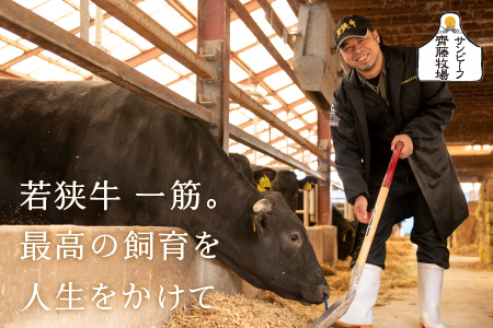 ESSEふるさとグランプリ2023 肉加工品部門 金賞受賞！ 若狭牛厳選赤身のローストビーフ 500g [B-1803]