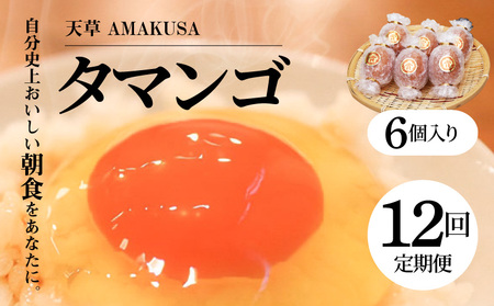 S038-T12_【定期便12回】天草 タマンゴ 6個 卵