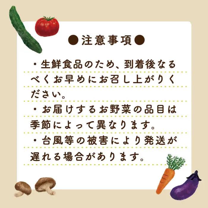 【6回定期便】野菜定期便 10品目以上 野菜定期便 / ミナサポ  [SCW046]