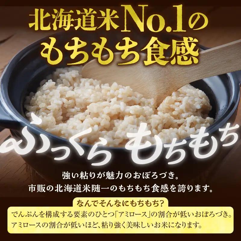 【定期便2回】令和7年産 おぼろづき 玄米 10kg（5kg×2袋）雨竜産 北海道