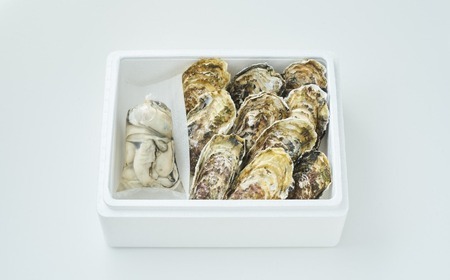 【先行予約】 『殻付き牡蠣 (生食用) 10個 & むき身牡蠣 (加熱用) 250g セット』 一本松牡蠣
