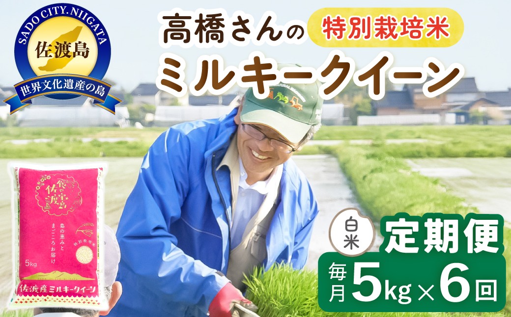 
                  【6か月定期便 ミルキークイーン】佐渡島産ミルキークイーン 白米 合計30kg（5kg×毎月お届け全6回）令和8年産 新米 特別栽培米 | 新潟県産ミルキークイーン 新潟産ミルキークイーン 佐渡産ミルキークイーン みるきーくいーん お米 米 白米 精米 ブランド米 おこめ コメ 5キロ もちもち にいがた さど 新潟県 佐渡市
                