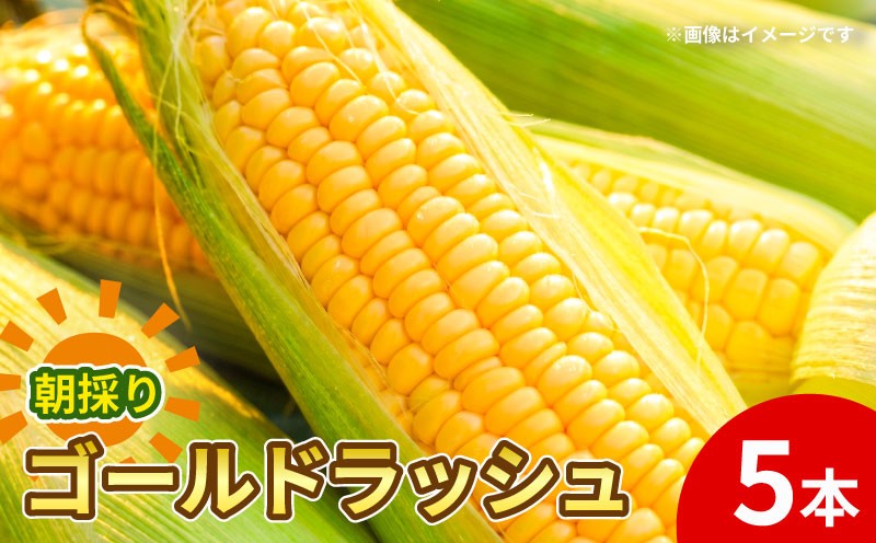 
                  【先行予約】 朝もぎ とうもろこし 5本 ゴールドラッシュ 《10月下旬より順次発送》 京都 京都府 コーン トウモロコシ  久御山 久御山町 新鮮 甘い 糖度 朝どれ 朝採れ 野菜 旬 産地直送 ギフト 夏野菜 秋野菜 農園Wave village
                