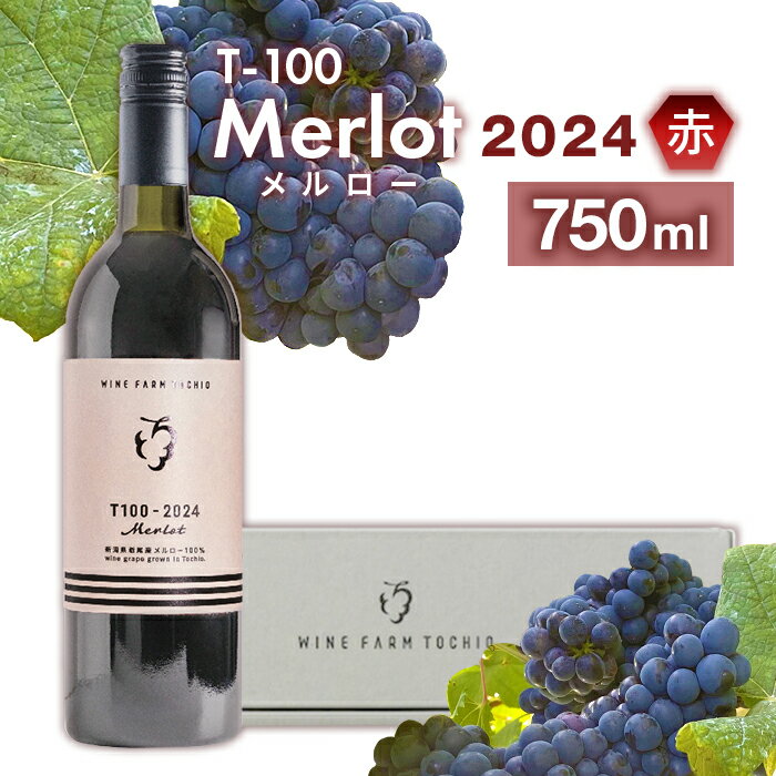 【ふるさと納税】24-05B T100 Merlot〈赤〉2024 750ml【ワインファームとちお】