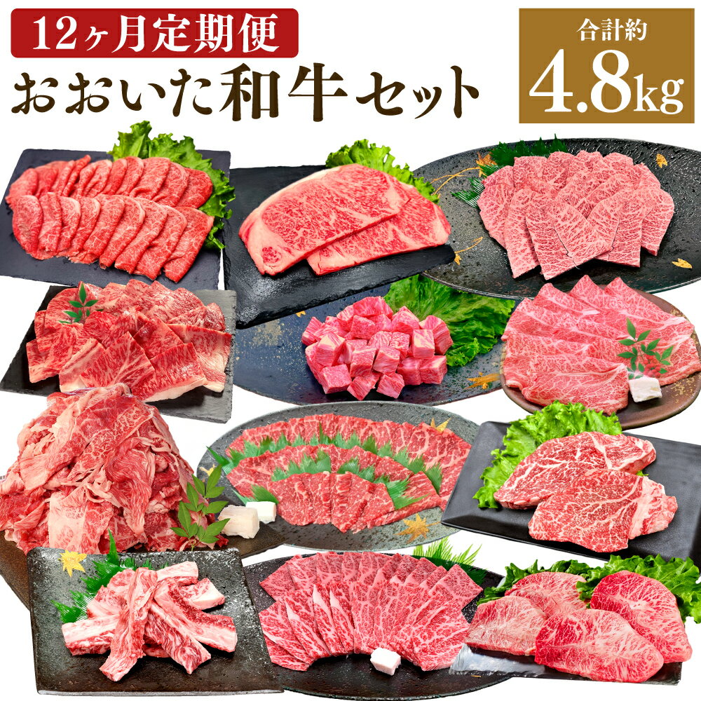 【ふるさと納税】【12ヶ月定期便】毎月替わる おおいた和牛 セット！ 12ヶ月 合計4.8kg おおいた和牛 月替わり 牛肉 肉 お肉 和牛 国産牛 4等級以上 食べ比べ お楽しみ 大分県産 竹田市 送料無料