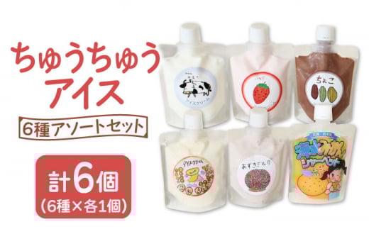 【小さいお子様にもおすすめ！】ちゅうちゅうアイス（チューブ入り）6種アソート セット【佐賀西部コロニー白石作業所】  佐賀県 白石 [ICL008]