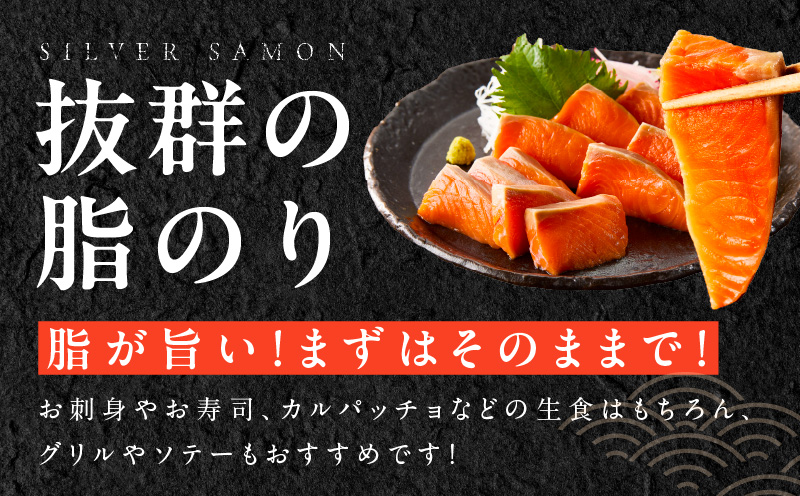 【訳あり】生食用 シルバーサーモン 1kg ポーション【小分け 2-4柵 サイズ不揃い 銀鮭 刺身用 お刺身 魚介 海鮮】 010B1620