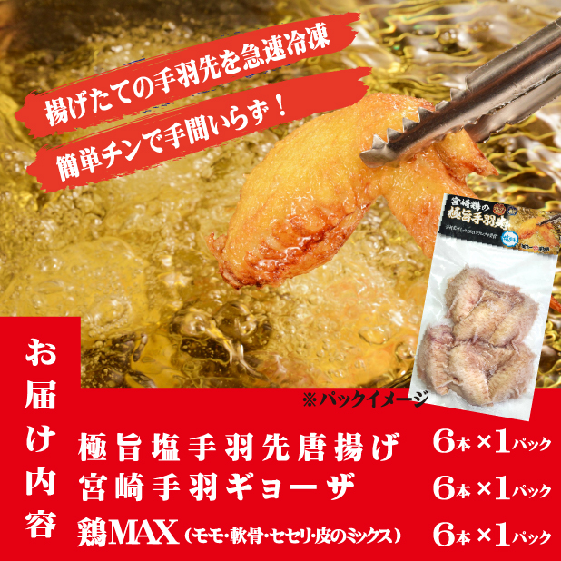 【レンジでチンするだけ♪】極旨塩手羽先唐揚げ 手羽ギョーザ 鶏MAX！セット_イメージ2