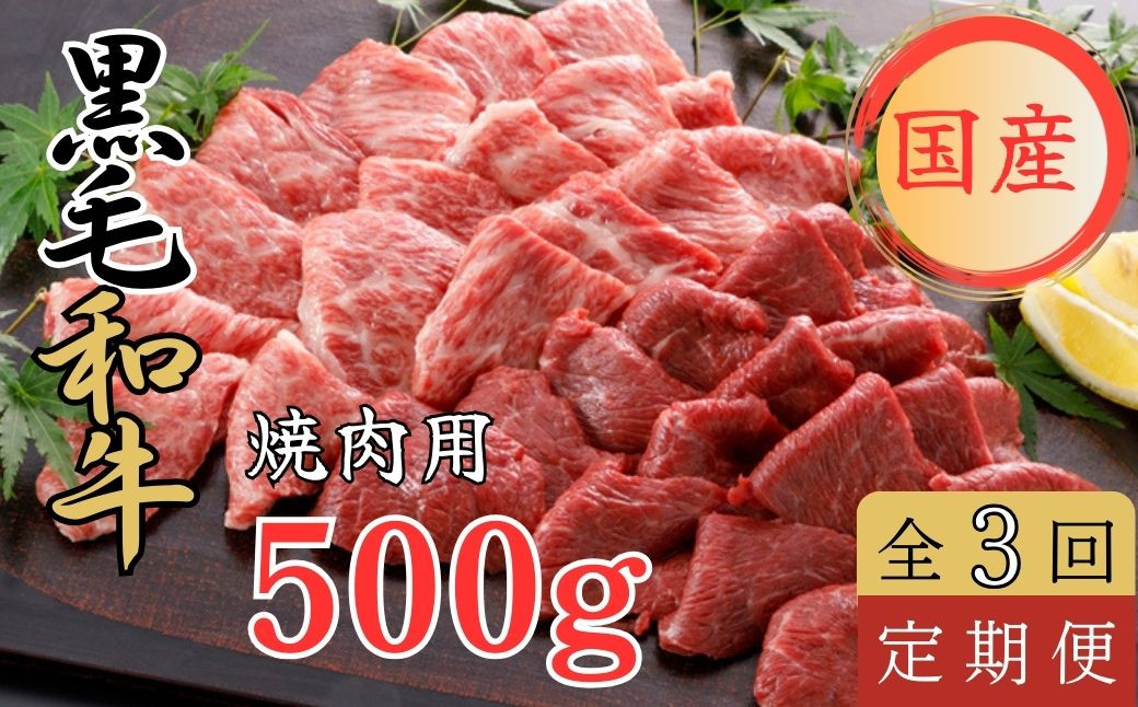 
【定期便3回】くまもと黒毛和牛 焼肉用　500ｇ 黒毛和牛 焼肉 バーベキュー
