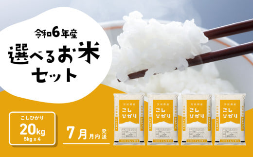 【7月発送】コシヒカリ 20kg (5kgx4袋) 令和6年産 茨城県産 こしひかり 白米 精米 茨城県 八千代町 お米 米 [SF201yah]