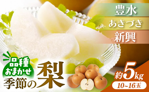 ＜品種おまかせ＞季節の梨 約5kg(10～16玉入り) 豊水 秋月 新興【梨 なし ナシ ほうすい あきづき しんこう フルーツ 果物 果実 旬 贈答 ギフト おすすめ 人気 おまかせ 福岡県 筑前町