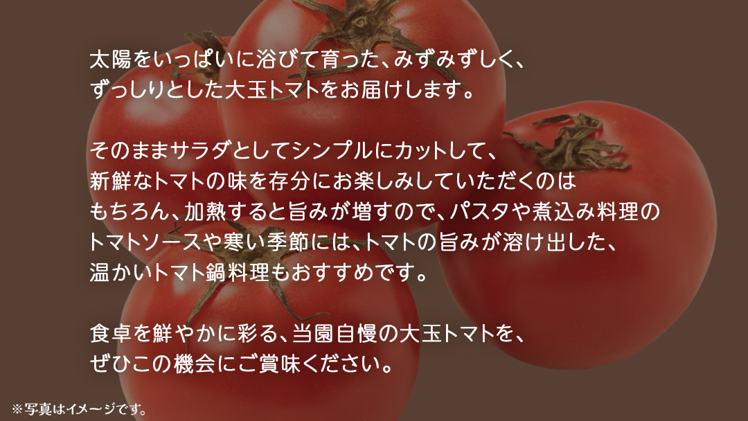 大玉 トマト 3kg (茨城県共通返礼品：大子町) 野菜 フルーツ 旬 季節限定 期間限定