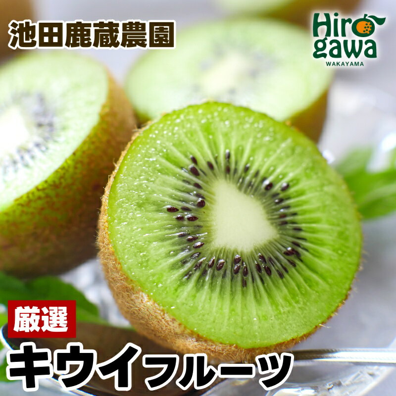 【ふるさと納税】 キウイ 厳選 / キウイフルーツ 高級 和歌山 1kg 5kg 5000円 ※2025年11月中旬～2026年6月中旬に順次発送 ※北海道・沖縄・離島への配送不可 //hokaf