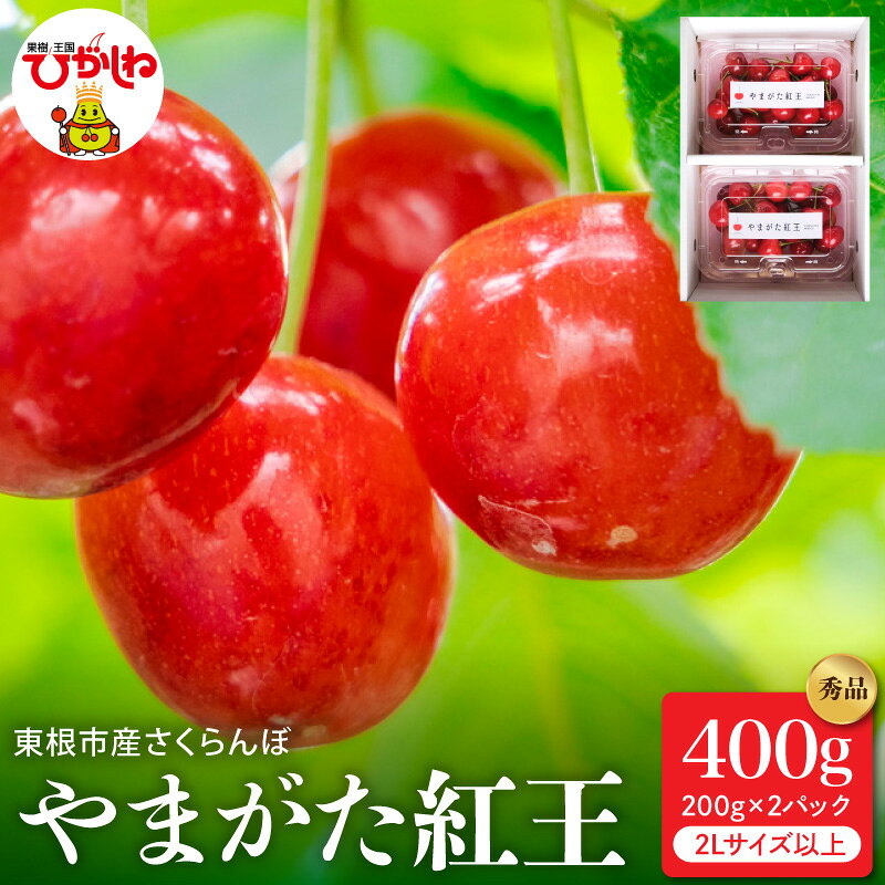 【ふるさと納税】 さくらんぼ 「 やまがた紅王 」 秀品 400g バラ詰め ( 200g ×2 パック ) 2Lサイズ以上 | サクランボ フルーツ 果物 くだもの 小分け 紅王 山形紅王 特産 直送 期間限定 冷蔵 冷蔵配送 東根市産 先行予約 ギフト 人気 おすすめ 送料無料 山形県 東根市