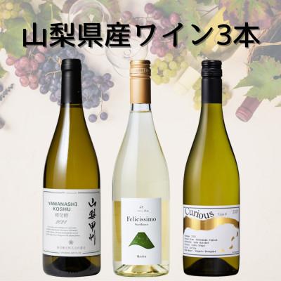 ふるさと納税 山梨県 山梨県産甲州ワイン3本セット(3)　046