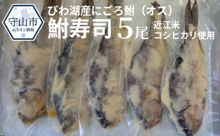 びわ湖産にごろ鮒（オス）鮒寿司 ５尾 CJ-0001