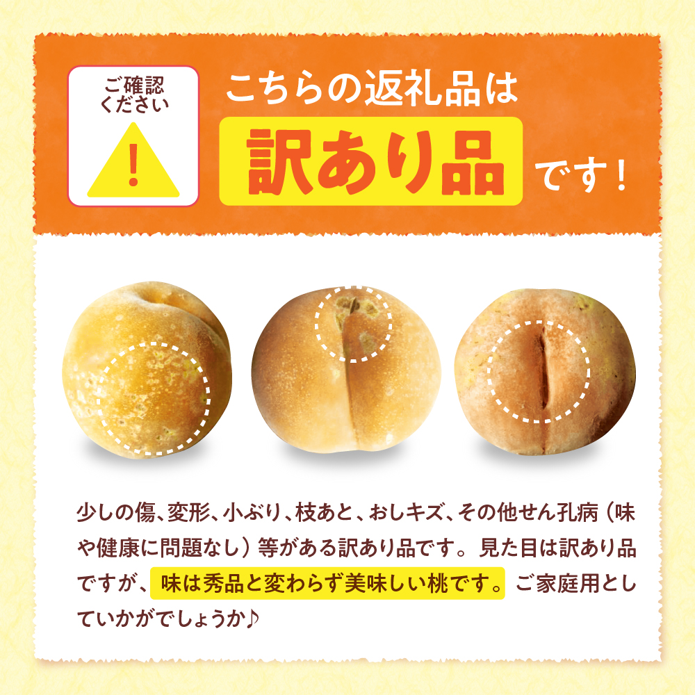 【2025年産　先行予約】黄桃 品種おまかせ 訳あり2kg(やわらかめ) 山形県 東根市　hi004-hi062-029-2_イメージ2
