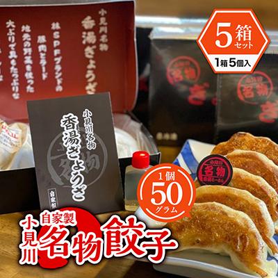 ふるさと納税 香取市 【自家製】小見川名物 餃子 5個入×5箱セット