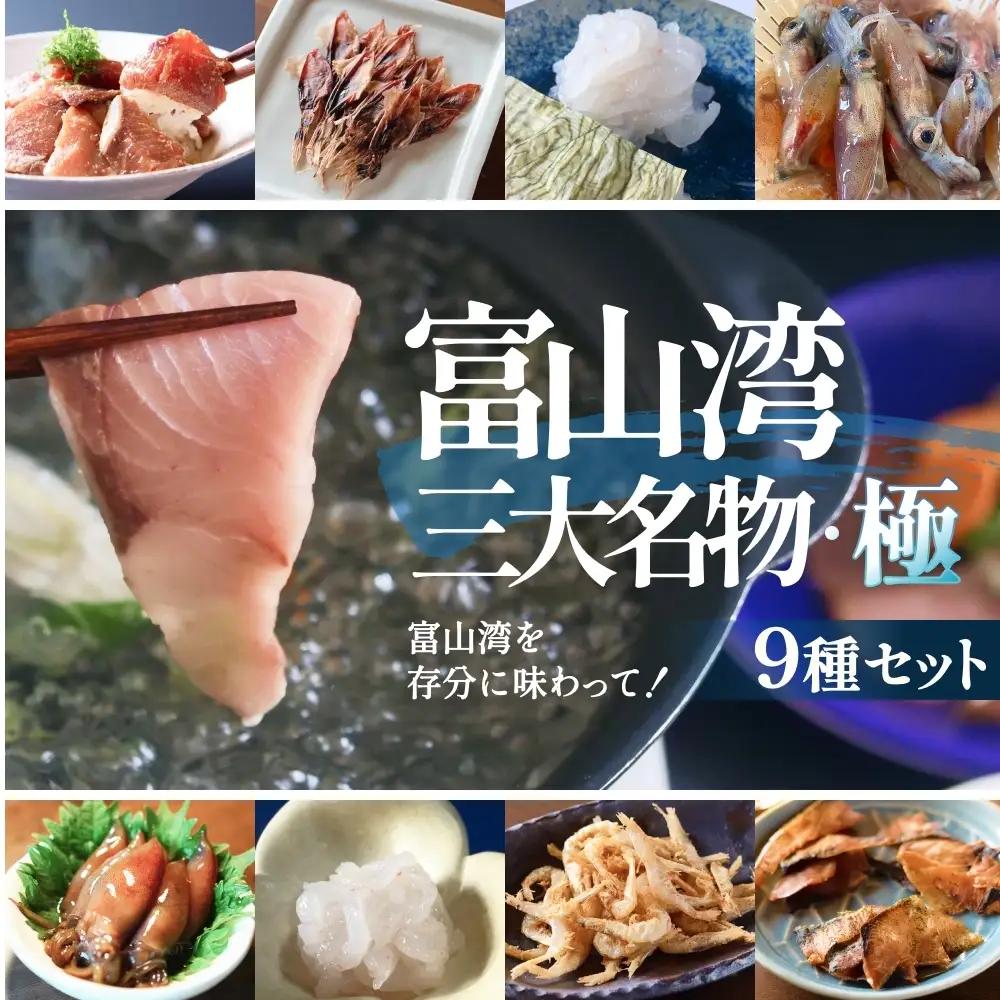 富山湾三大名物・極 鰤 ホタルイカ 白えび つめ合わせ ブリ ほたるいか 富山県 氷見市　ホタルイカ