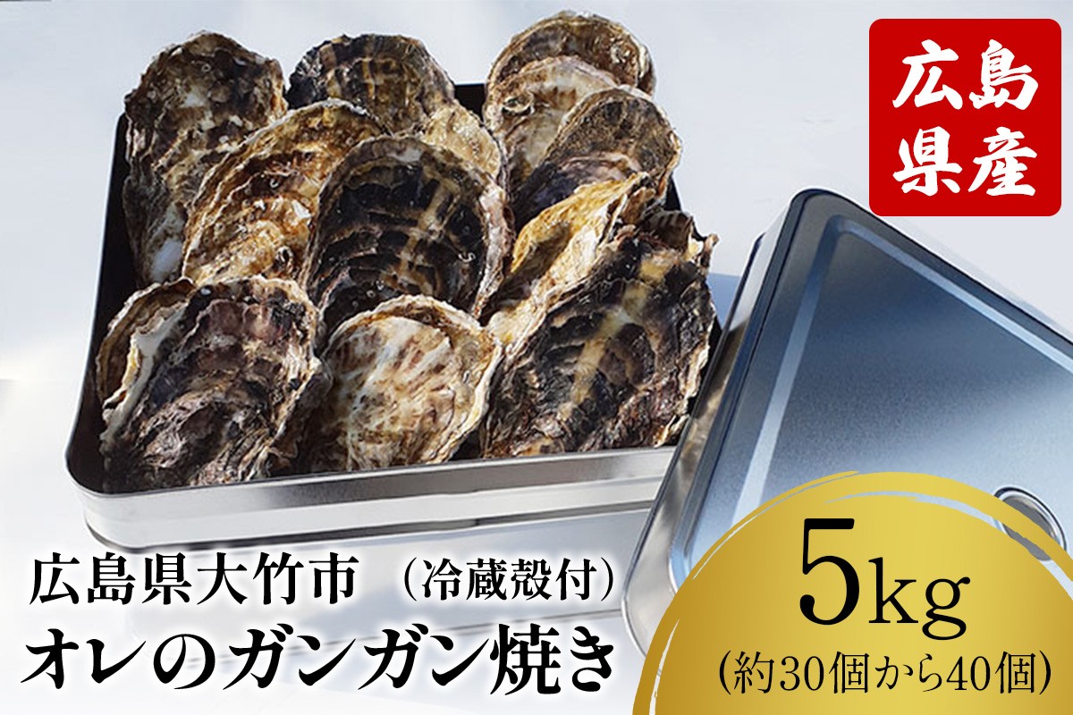 
                  [2027年1月8日より発送！] オレのガンガン焼き 広島県大竹市産 冷蔵殻付牡蠣 5kg (約30個から40個)｜かき 貝 シーフード オイスター 海鮮 魚介類 濃厚 海の幸 貝類 BBQ バーベキュー カンカン焼き おおたけカキ 特大サイズ 広島 大竹市 玖波 宮島 [2624]
                